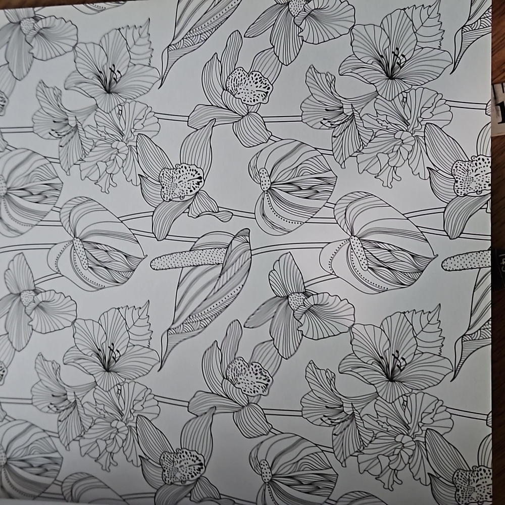 Coloring Book - Picture 10 of 16